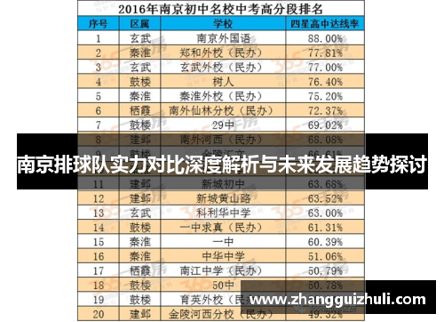 南京排球队实力对比深度解析与未来发展趋势探讨