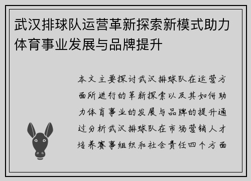 武汉排球队运营革新探索新模式助力体育事业发展与品牌提升
