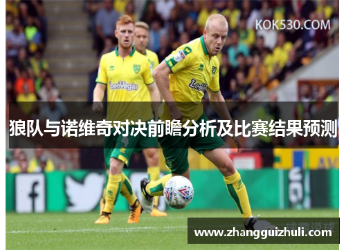 狼队与诺维奇对决前瞻分析及比赛结果预测